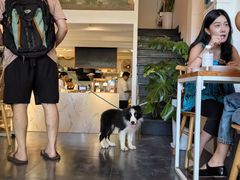 -Egg•Allday Brunch(襄阳北路店)