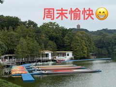 -鹿鸣酒家(越秀店)