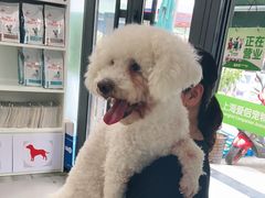 -爱侣宠医·鹦鹉专科·小型哺乳类·异宠专科(灵石路店)