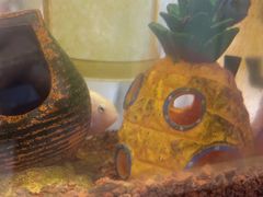 -艺塔木美学教育(和达校区)