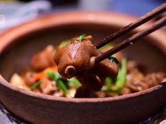 -大榕树下顺德菜(融创茂店)