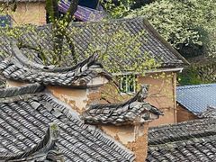 -杨家堂村
