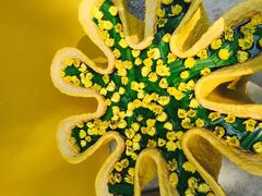 -四季酒店下午茶