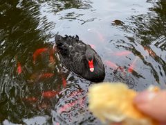 -秦皇岛野生动物园