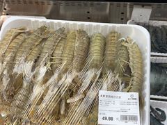 -盒马X会员店(上海森兰商都店)
