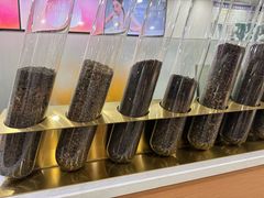 -雾与山茶(大禹城店)