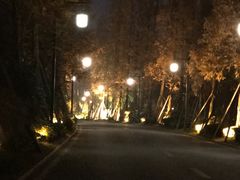 -青城道汤池