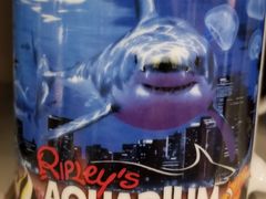 -瑞普利水族馆