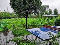 -洪湖家庭农场·团建·露营·会议