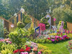 -上海共青森林公园