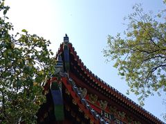 -灵谷景区