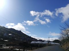 -千岛湖石林