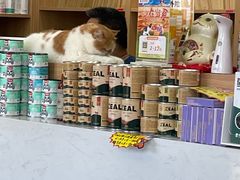 -瑞派长江宠物医院·猫科·外科·24小时夜护(谊城公寓分院)