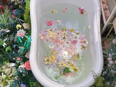 -京北渔家傲