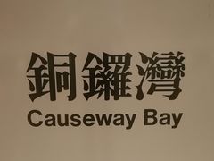-文辉墨鱼丸大王(铜锣湾渣甸街总店)
