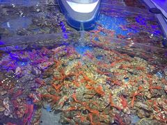 -澜悦港海鲜体验主题餐厅