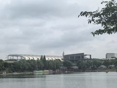 -羊山湖公园