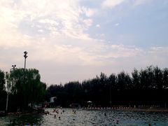 -柳浪游泳场