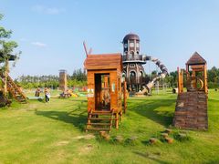 -上海长兴岛郊野公园