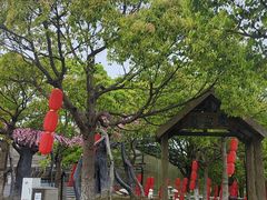-上海都市菜园