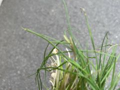 -黄陂区野村谷景区