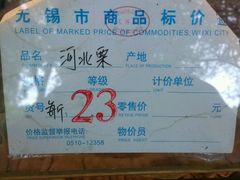 -金栗王(清扬路店)