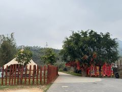 -十万大山布透温泉