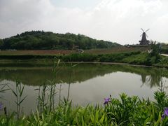 -大塘金香草谷