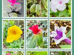 -中国科学院西双版纳热带植物园