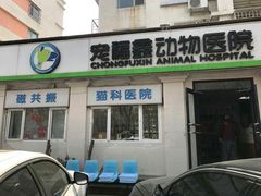 -宠福鑫动物医院(城北分院)