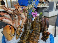 龙虾-半岛听涛蒸汽海鲜自助(K11店)