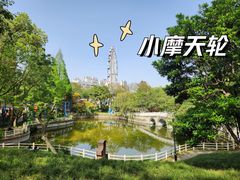 -塔子山公园
