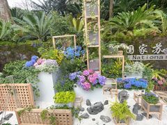 -深圳仙湖植物园