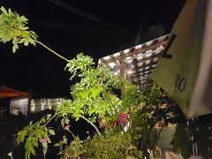 -Local泰莲庭(虹鳟鱼店)