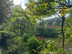 -广州市帽峰山景区