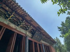 -洛阳白马寺