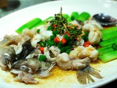 -猪肉婆私房菜(容桂总店)
