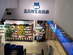 -盒马鲜生(大成店)