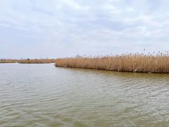 -宁波杭州湾国家湿地公园
