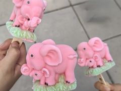 -秦皇岛野生动物园