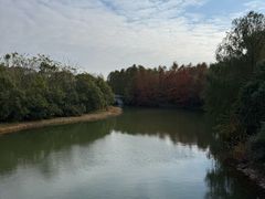 -上海海湾国家森林公园