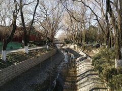 -菖蒲河公园