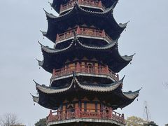 -龙华素斋(龙华路店)