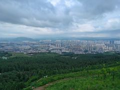 -长虫山生态公园风景林