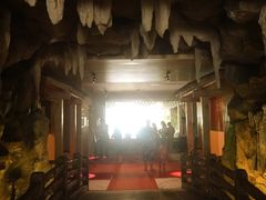 -御池园(顾村公园店)
