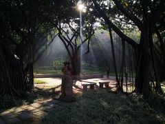 -广州雕塑公园