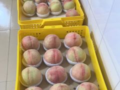 -老袁家蜜桃农场·阳山水蜜桃