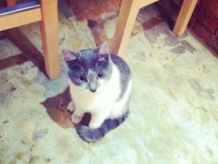 iphone_upload_pic-MIKAKU(万达广场上海宝山店)