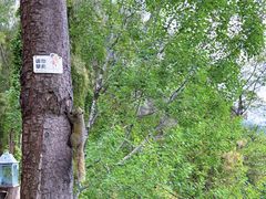 -大理苍山石门关旅游度假区