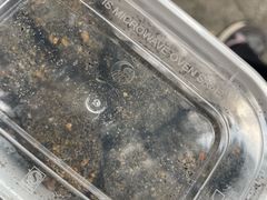 -叶氏麻糍(鼓浪屿店)